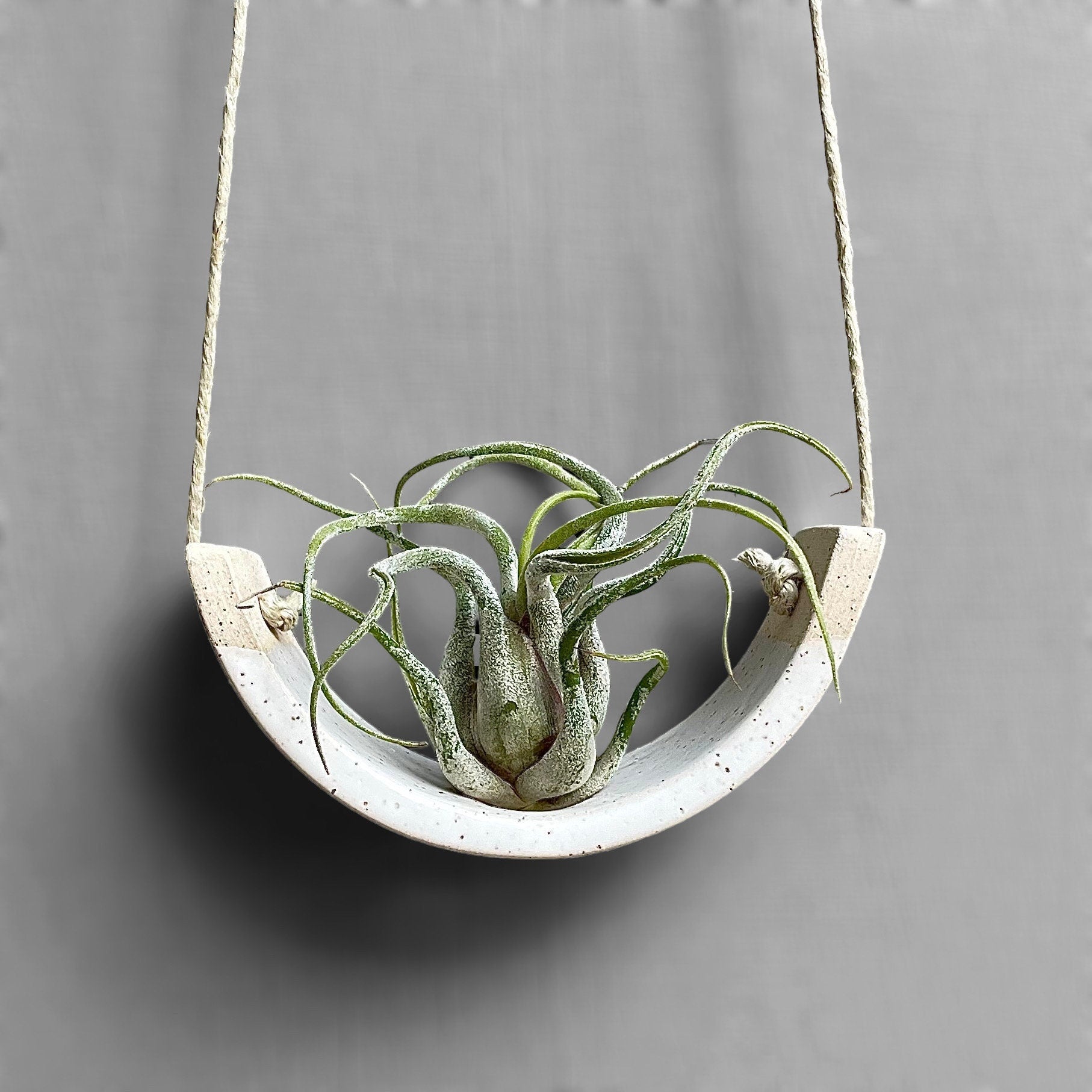 ceramic air plant hangers Small Hanging Air Plant Holder — Speckle Buff Stoneware Clay — Gloss W –  Mudpuppy Ceramic Studio