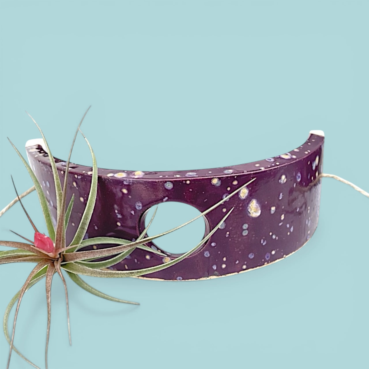 Tiered Ceramic Air Plant Holder: Purple Passion Flower Hanging Planter