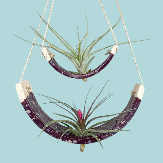Tiered Ceramic Air Plant Holder: Purple Passion Flower Hanging Planter