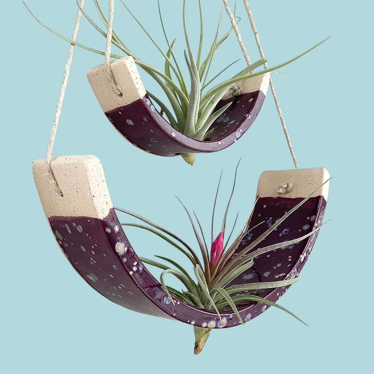 Large Purple Passion Flower Ceramic Air Plant Holder: Hanging Wall Planter, Home Decor