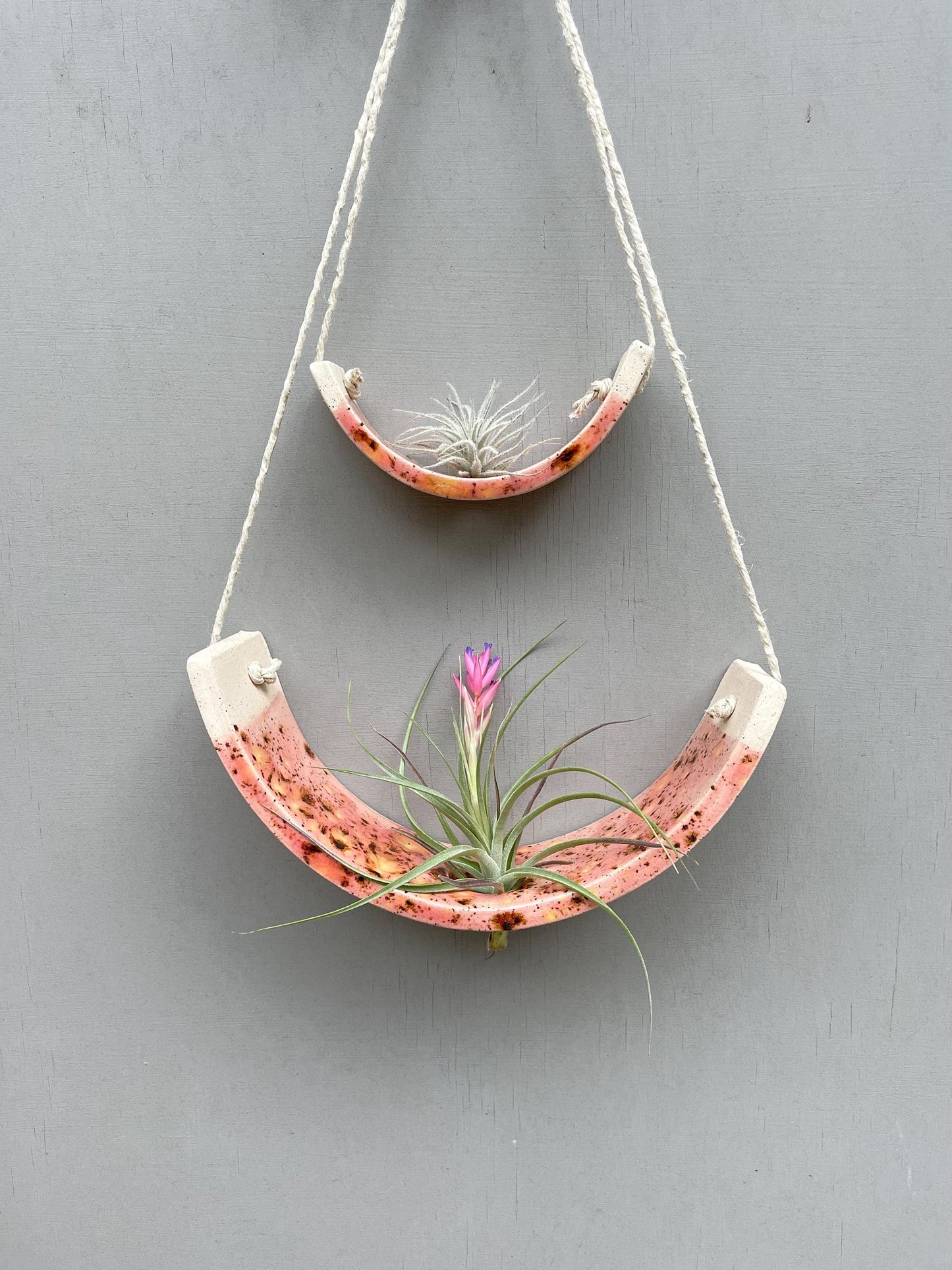 Large Pink Ceramic Air Plant Holder: Hanging Wall Planter, Home Decor