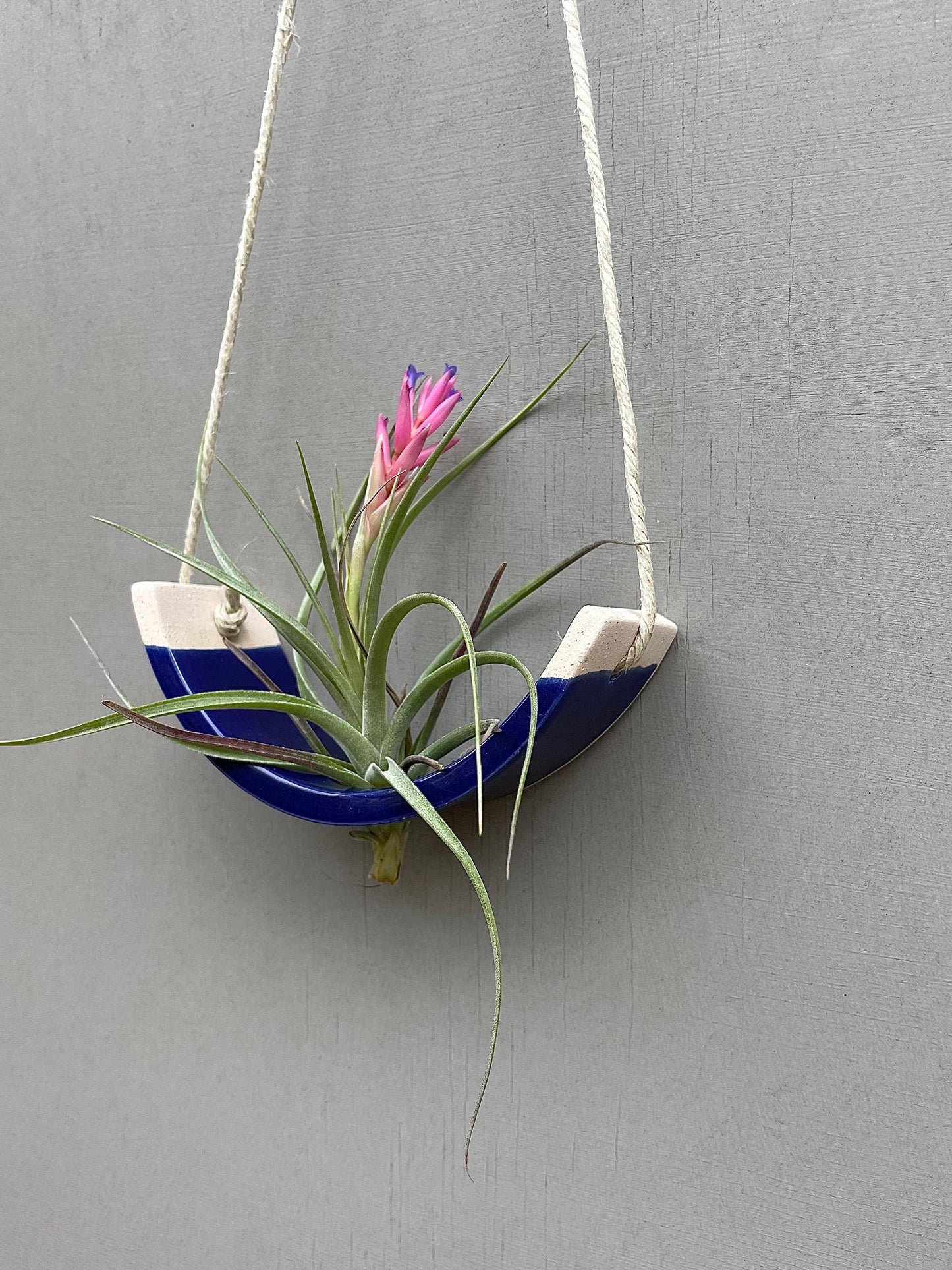 Small Handmade Royal Navy Blue Ceramic Air Plant Cradle - Limited Edition