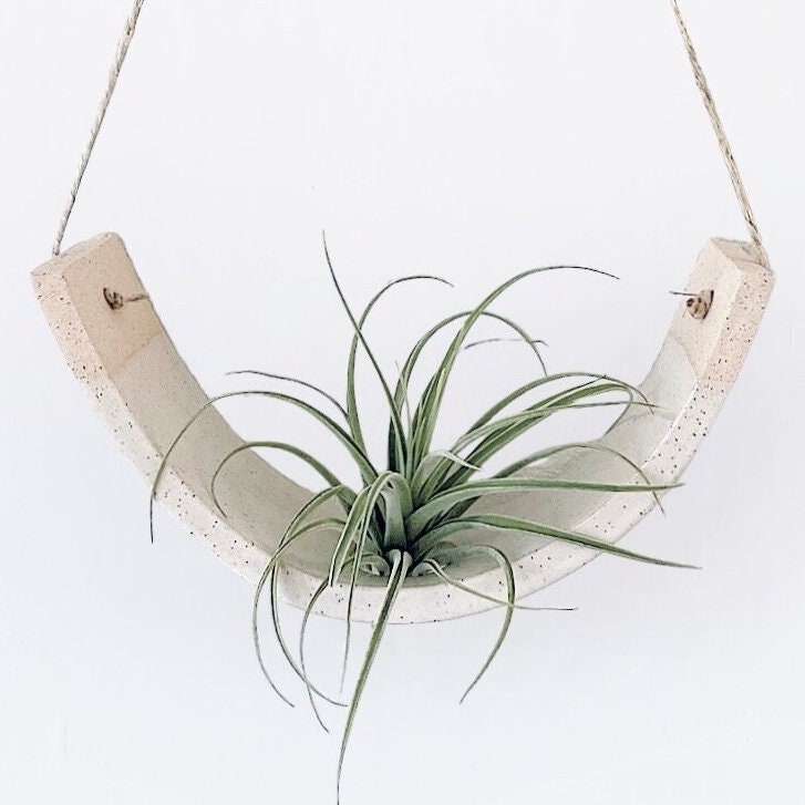 Large Handmade Ceramic Hanging Air Plant Cradle: Speckled Buff Clay, White Glaze