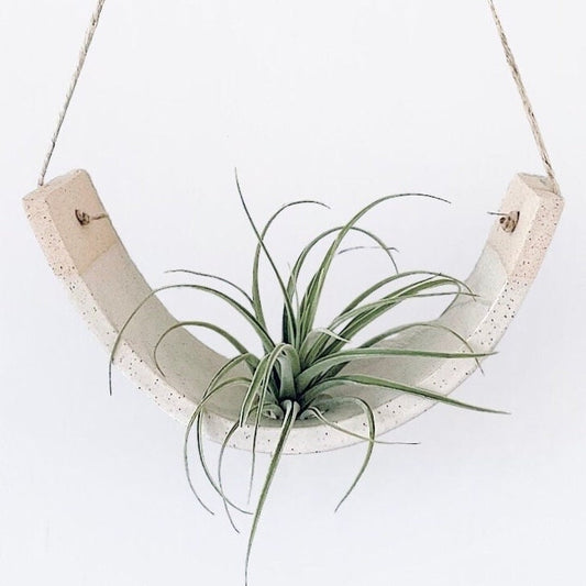 Large Handmade Ceramic Hanging Air Plant Cradle: Speckled Buff Clay, White Glaze