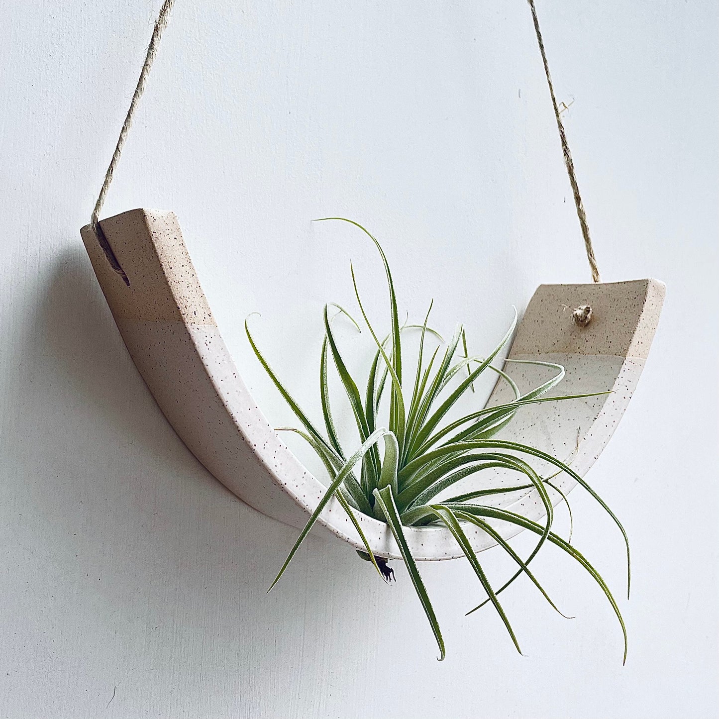 Large Handmade Ceramic Hanging Air Plant Cradle: Speckled Buff Clay, White Glaze