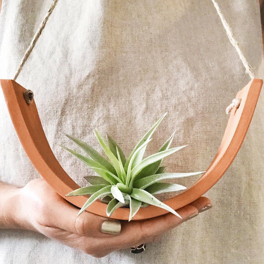 Large Terracotta Hanging Air Plant Cradle Wall Planter