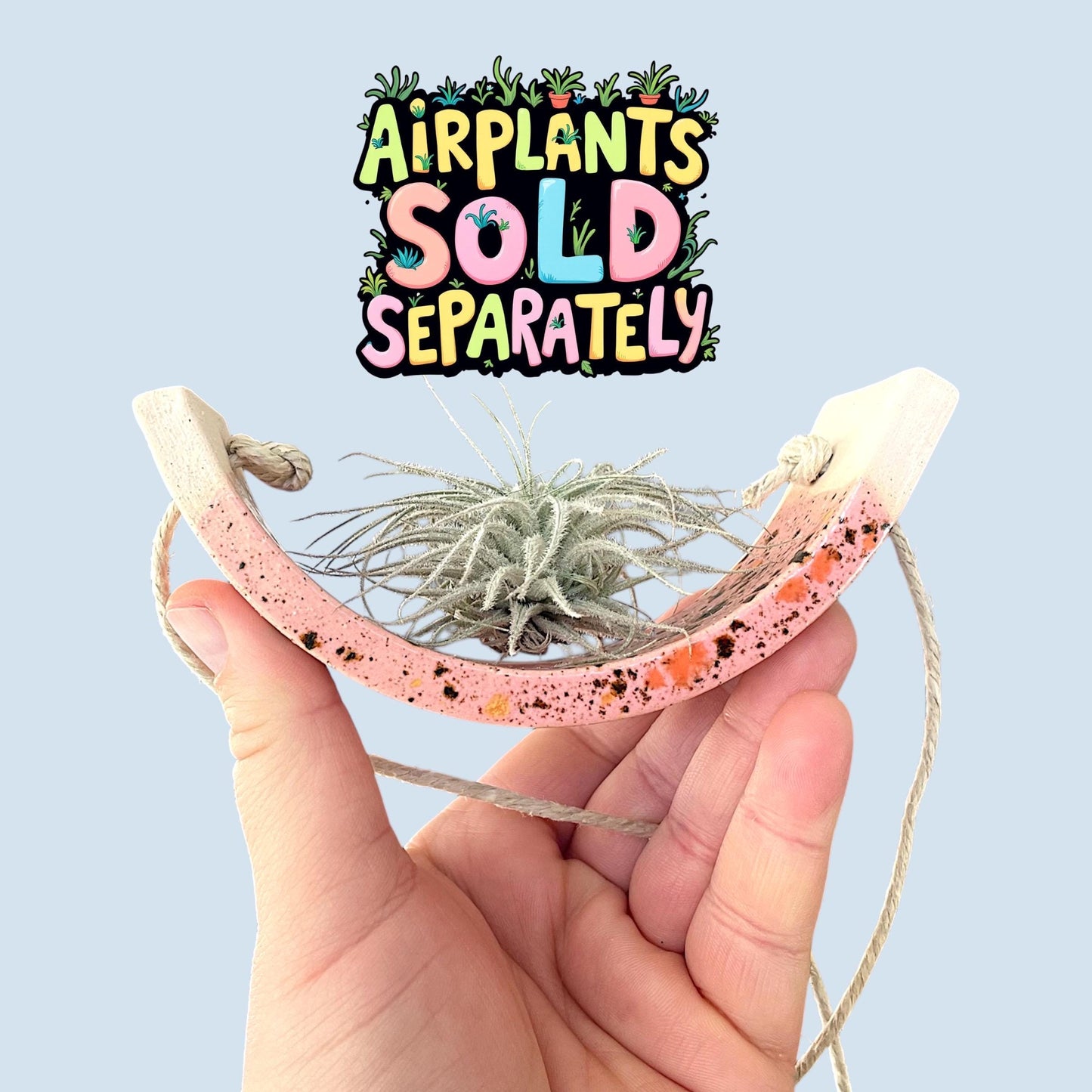 Small Pink Amaryllis Ceramic Air Plant Cradle: Hanging Planter Vase