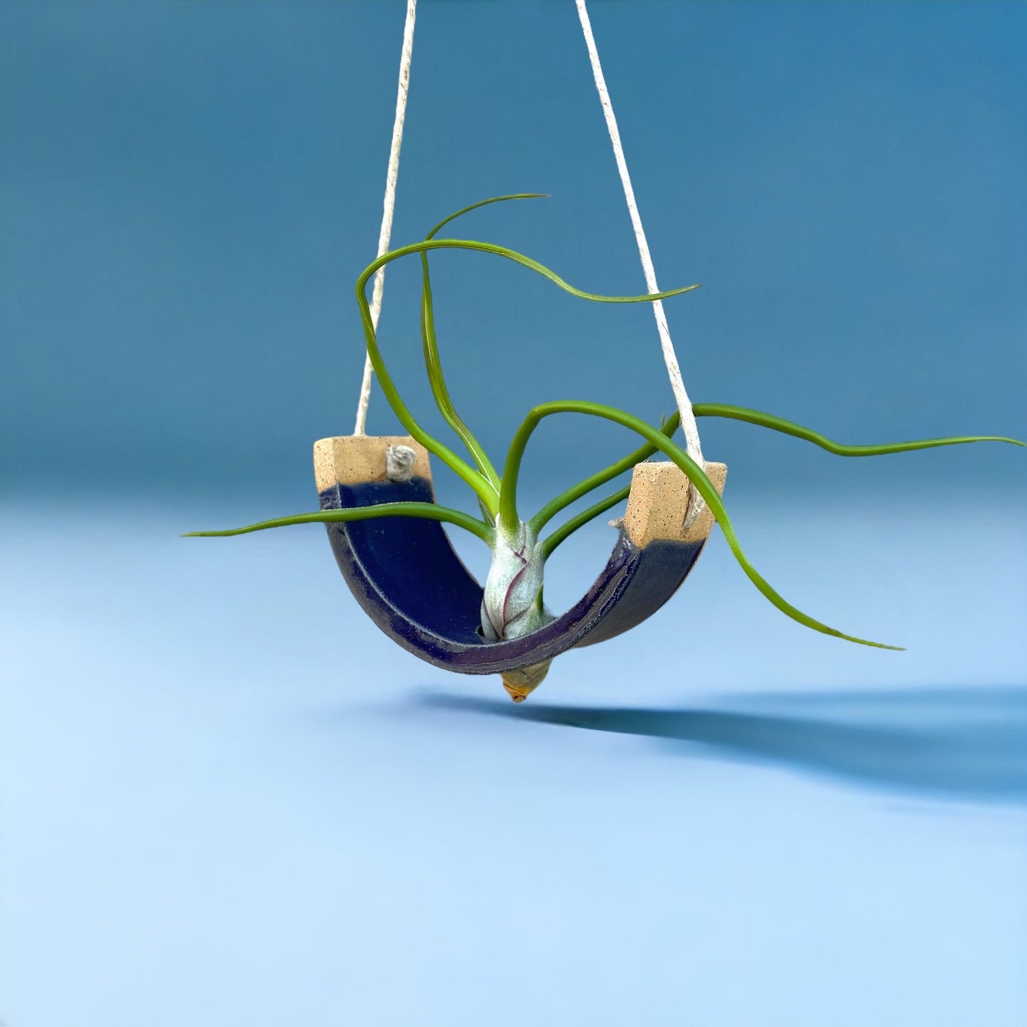 Small Handmade Royal Navy Blue Ceramic Air Plant Cradle - Limited Edition
