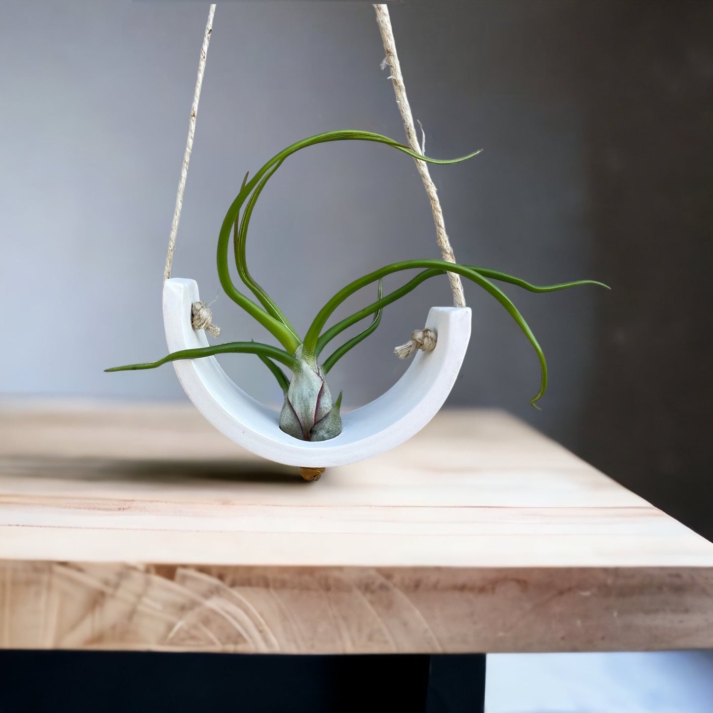 White Air Plant Container Ceramic Plant Hanger - Small