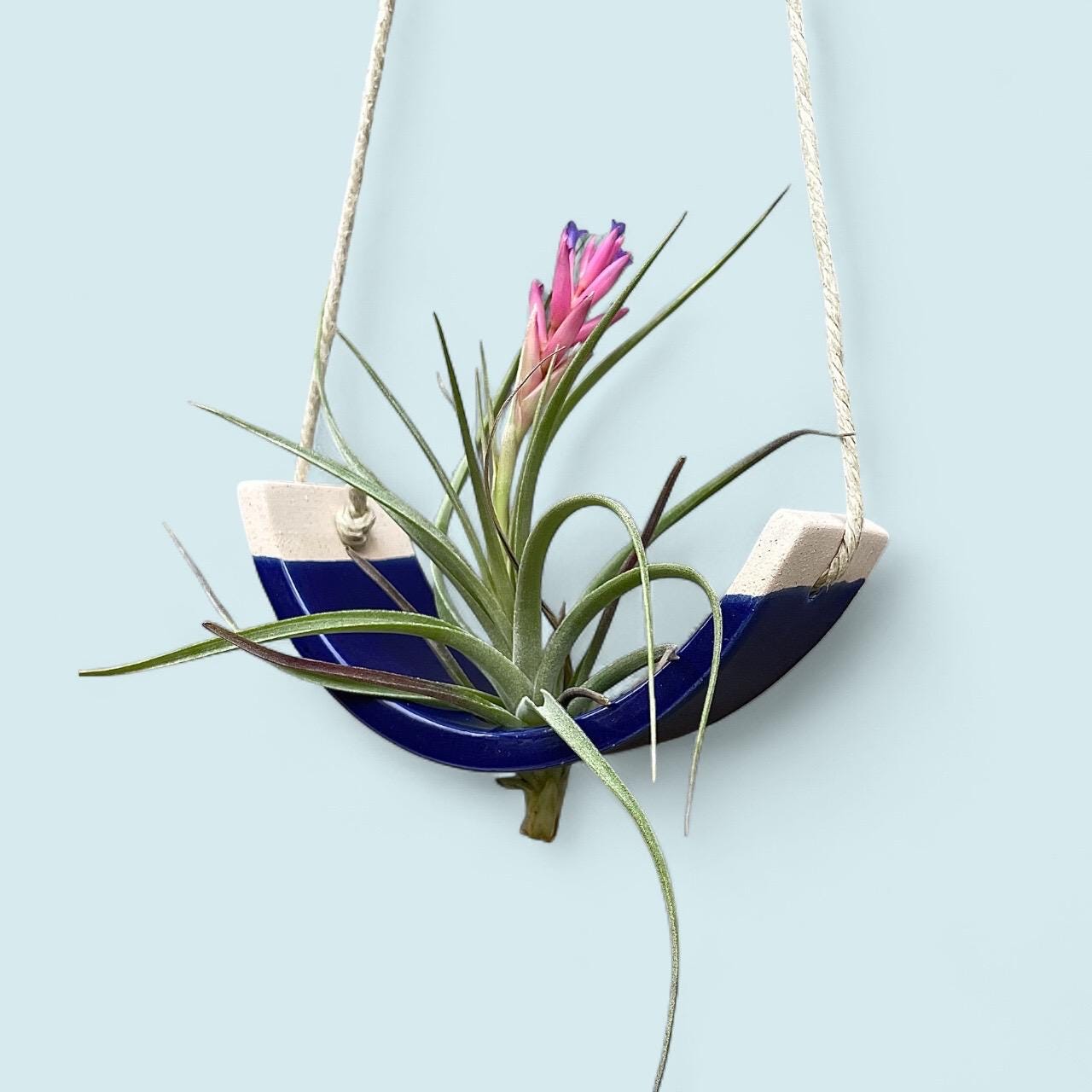 Small Handmade Royal Navy Blue Ceramic Air Plant Cradle - Limited Edition