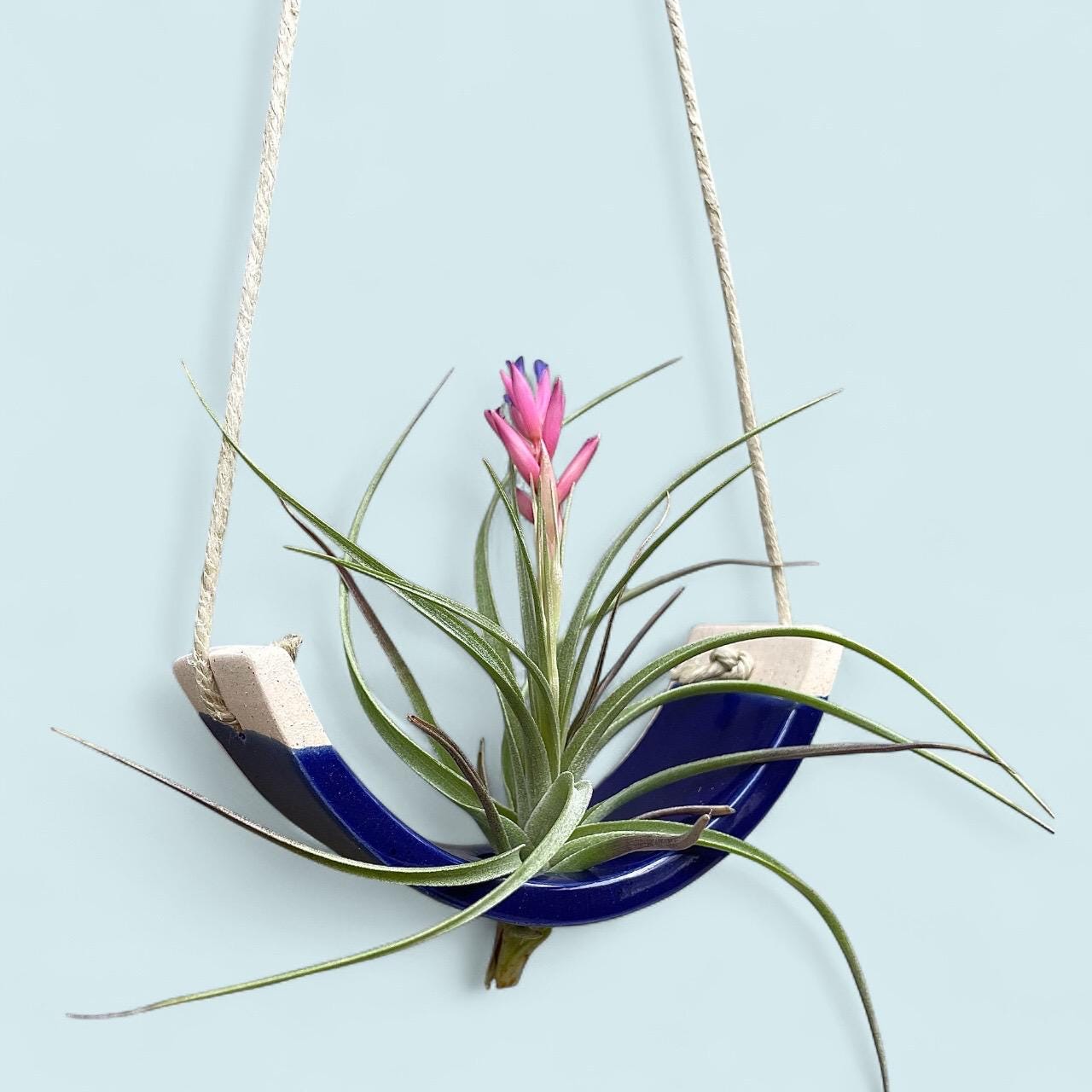 Small Handmade Royal Navy Blue Ceramic Air Plant Cradle - Limited Edition