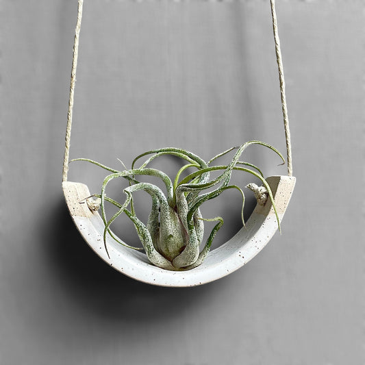 Small Hanging Air Plant Holder — Speckle Buff Stoneware Clay — Gloss White Planter