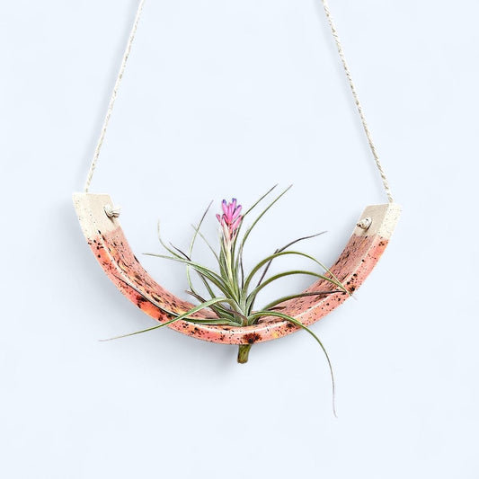 Large Pink Ceramic Air Plant Holder: Hanging Wall Planter, Home Decor