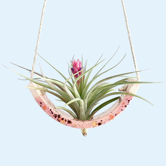 Small Pink Amaryllis Ceramic Air Plant Cradle: Hanging Planter Vase