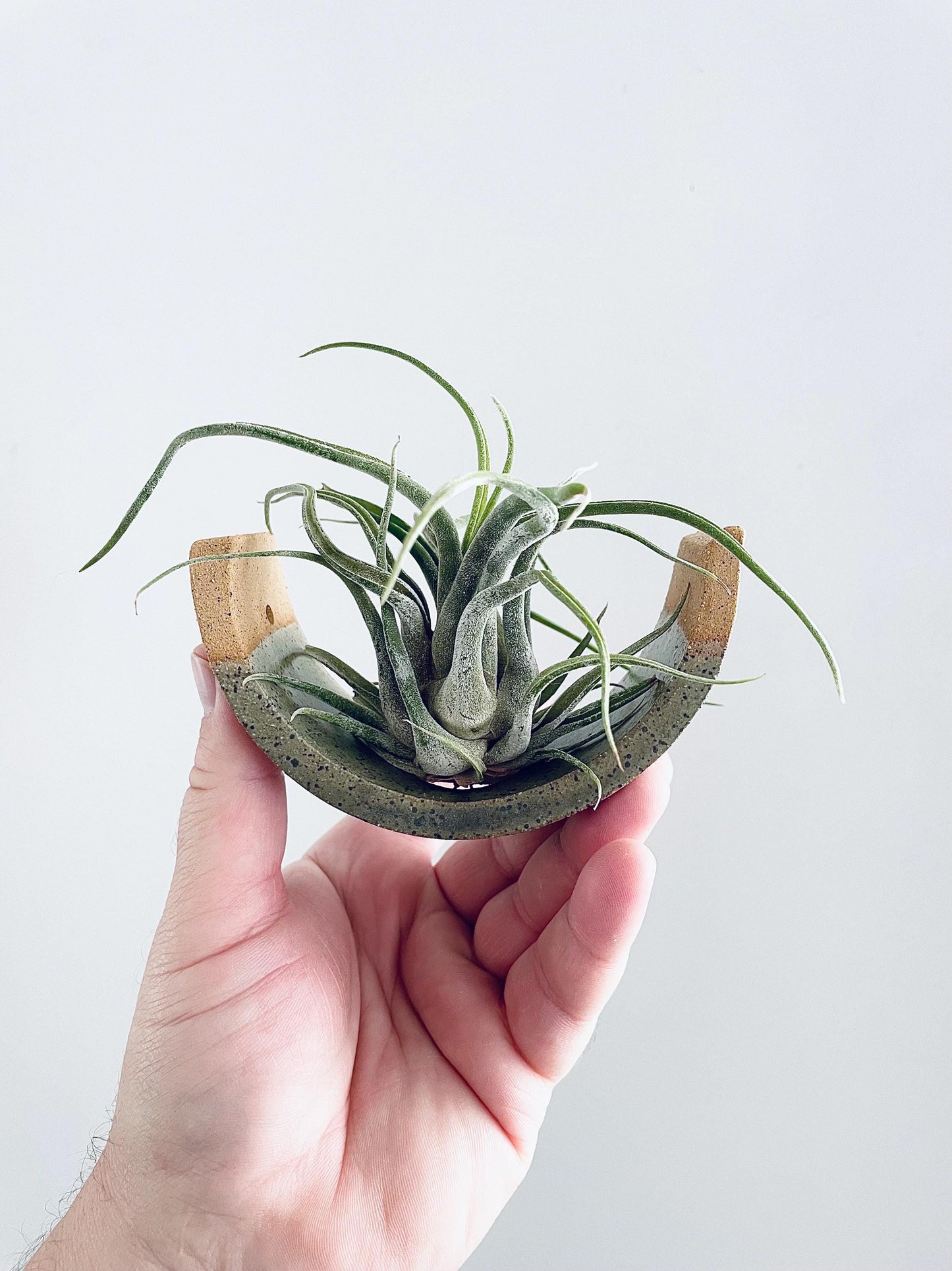 Small Handmade Ceramic Air Plant Cradle: Gunmetal Green Hanging Planter