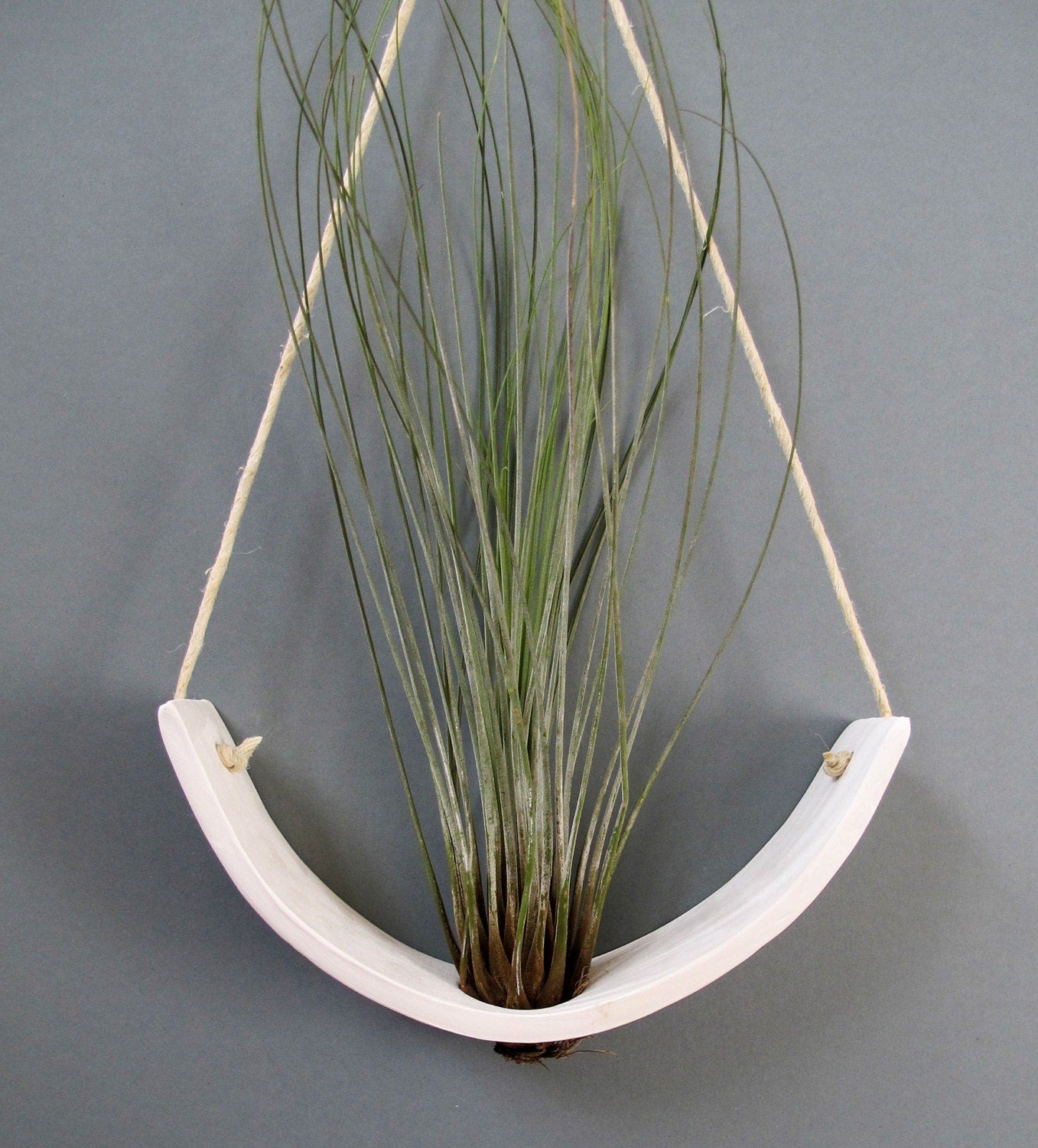 Large White Earthenware Hanging Tillandsia Air Plant Holder Interior Home Decoration Planter