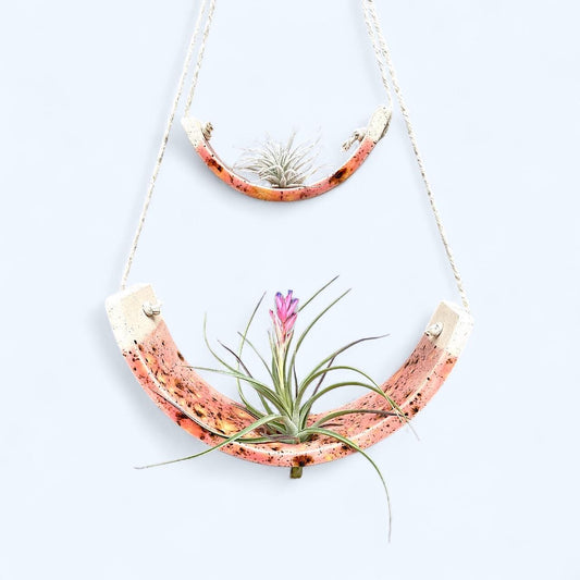 Hanging air plant holder with pink glaze on a white background