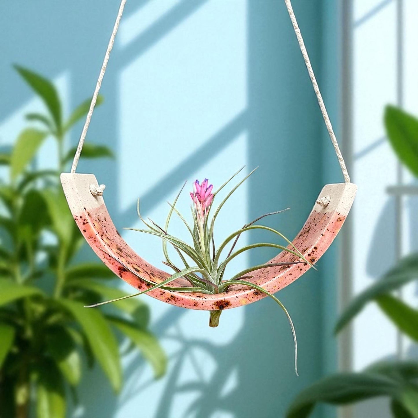 Large Pink Ceramic Air Plant Holder: Hanging Wall Planter, Home Decor