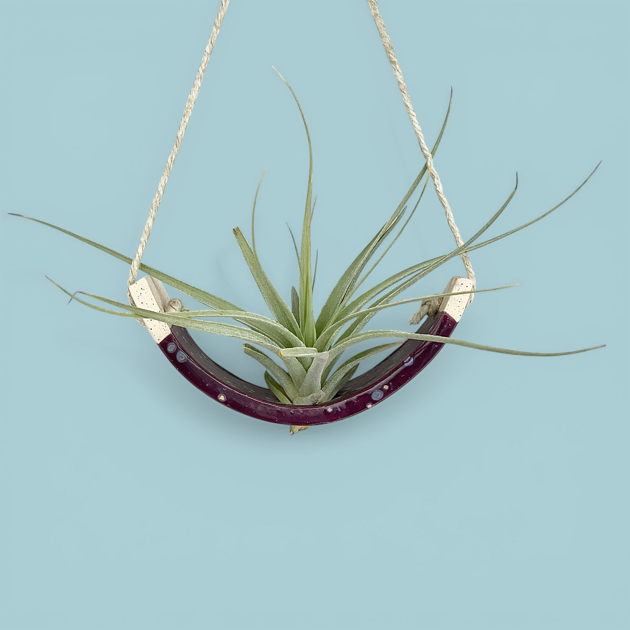 Small Purple Passion Flower Amaryllis Ceramic Air Plant Cradle: Hanging Planter Vase
