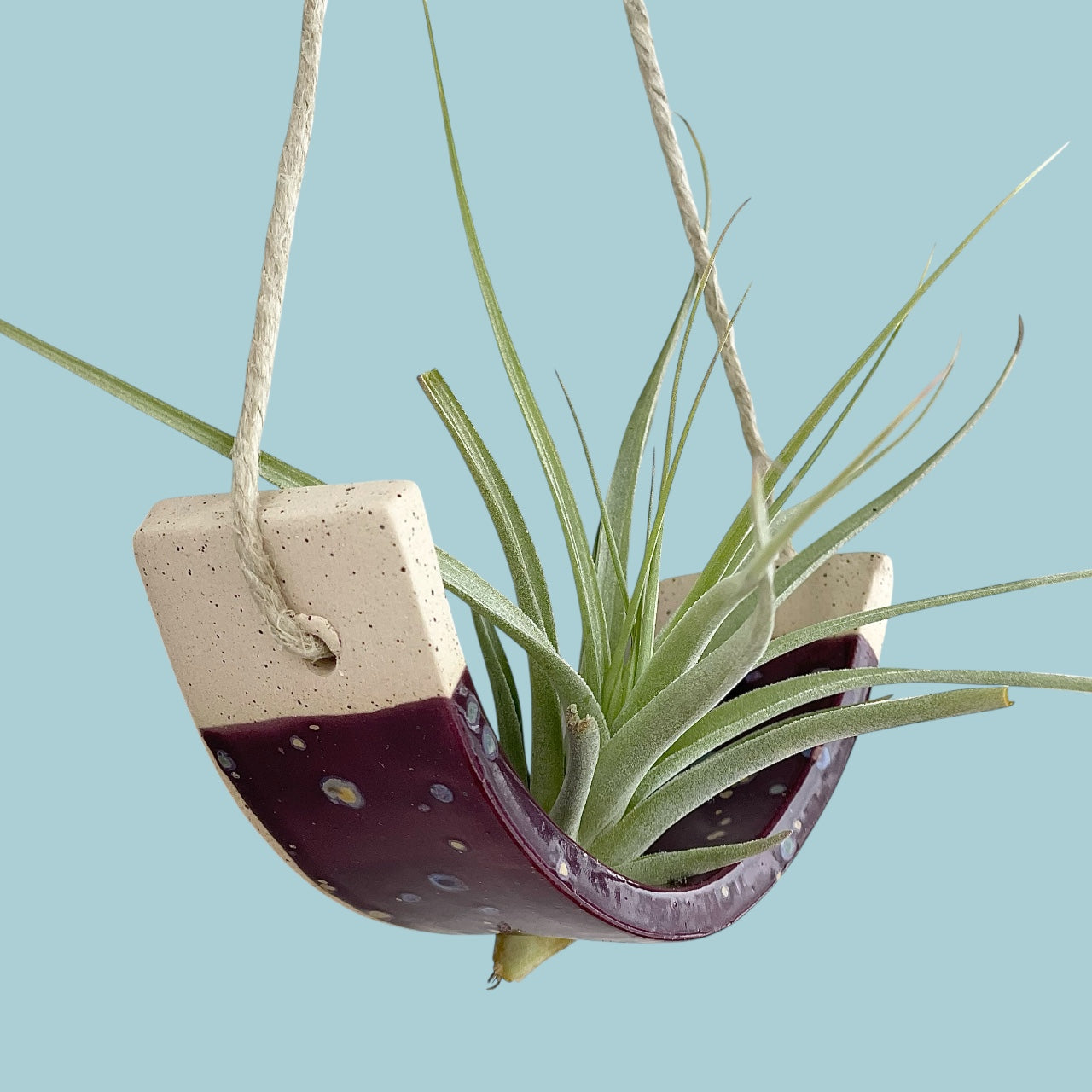 Small Purple Passion Flower Amaryllis Ceramic Air Plant Cradle: Hanging Planter Vase