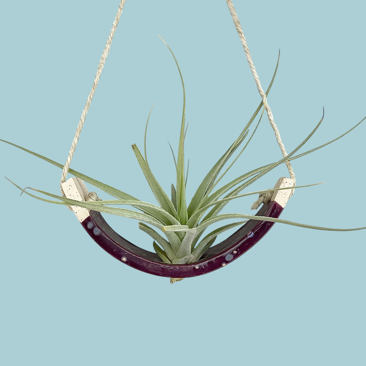 Small Purple Passion Flower Amaryllis Ceramic Air Plant Cradle: Hanging Planter Vase