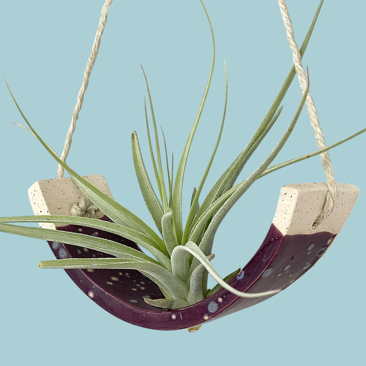 Small Purple Passion Flower Amaryllis Ceramic Air Plant Cradle: Hanging Planter Vase