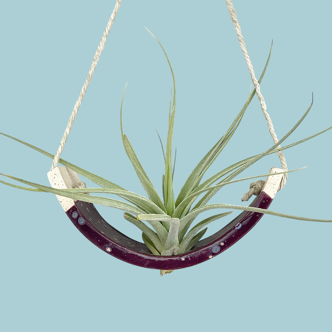 Small Purple Passion Flower Amaryllis Ceramic Air Plant Cradle: Hanging Planter Vase