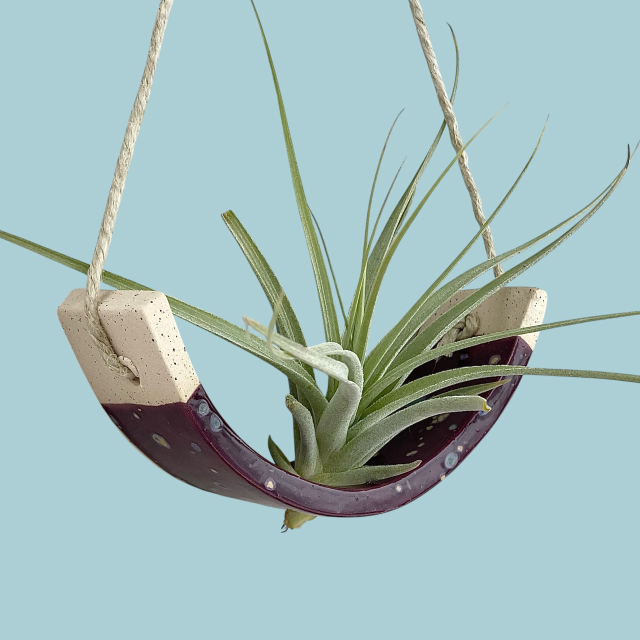 Small Purple Passion Flower Amaryllis Ceramic Air Plant Cradle: Hanging Planter Vase