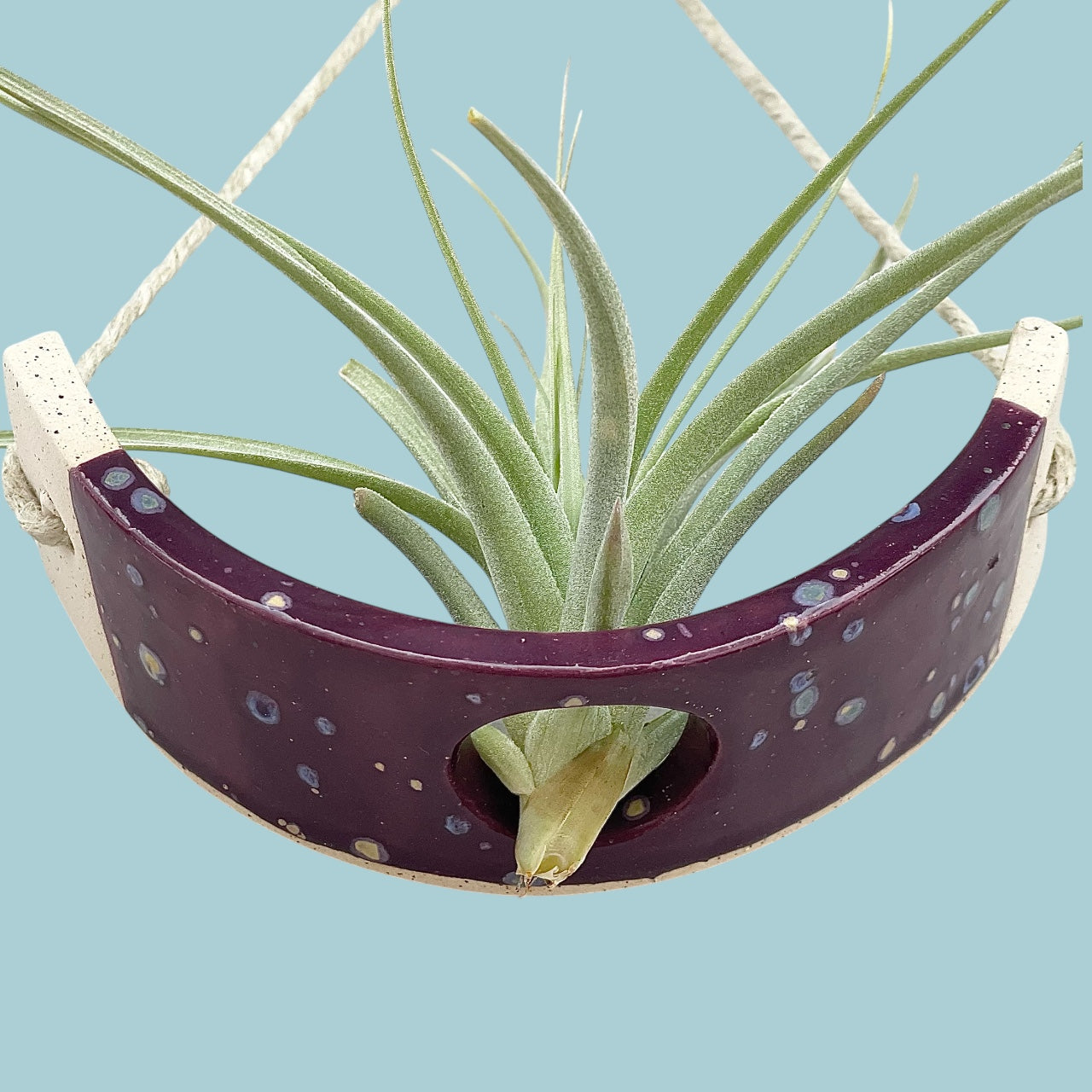 Small Purple Passion Flower Amaryllis Ceramic Air Plant Cradle: Hanging Planter Vase