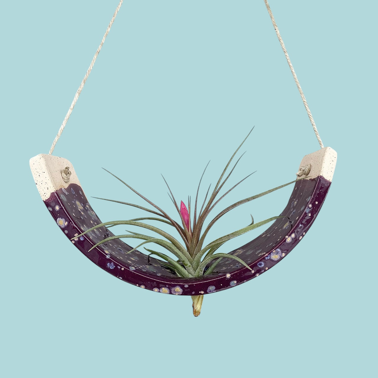 Large Purple Passion Flower Ceramic Air Plant Holder: Hanging Wall Planter, Home Decor