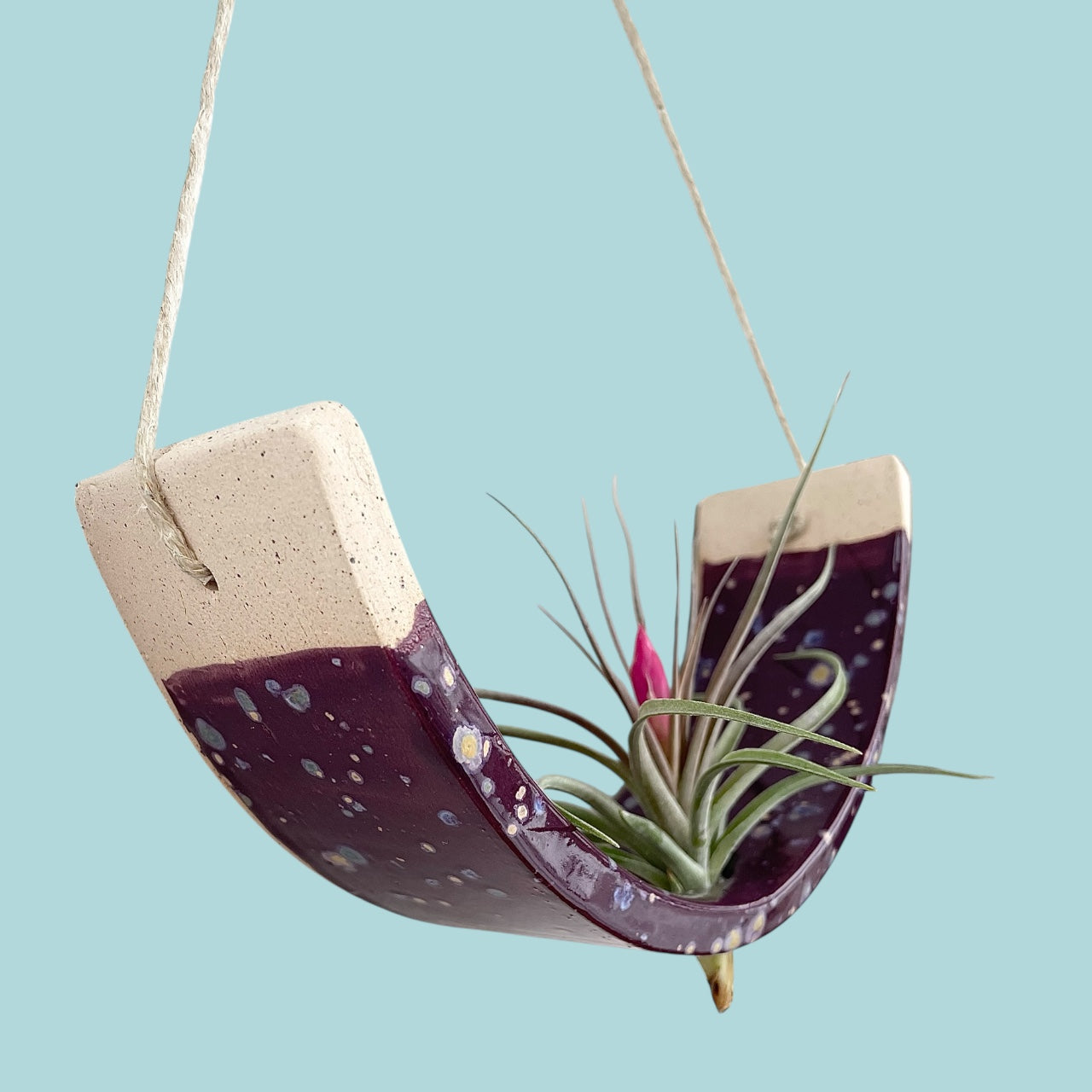 Large Purple Passion Flower Ceramic Air Plant Holder: Hanging Wall Planter, Home Decor