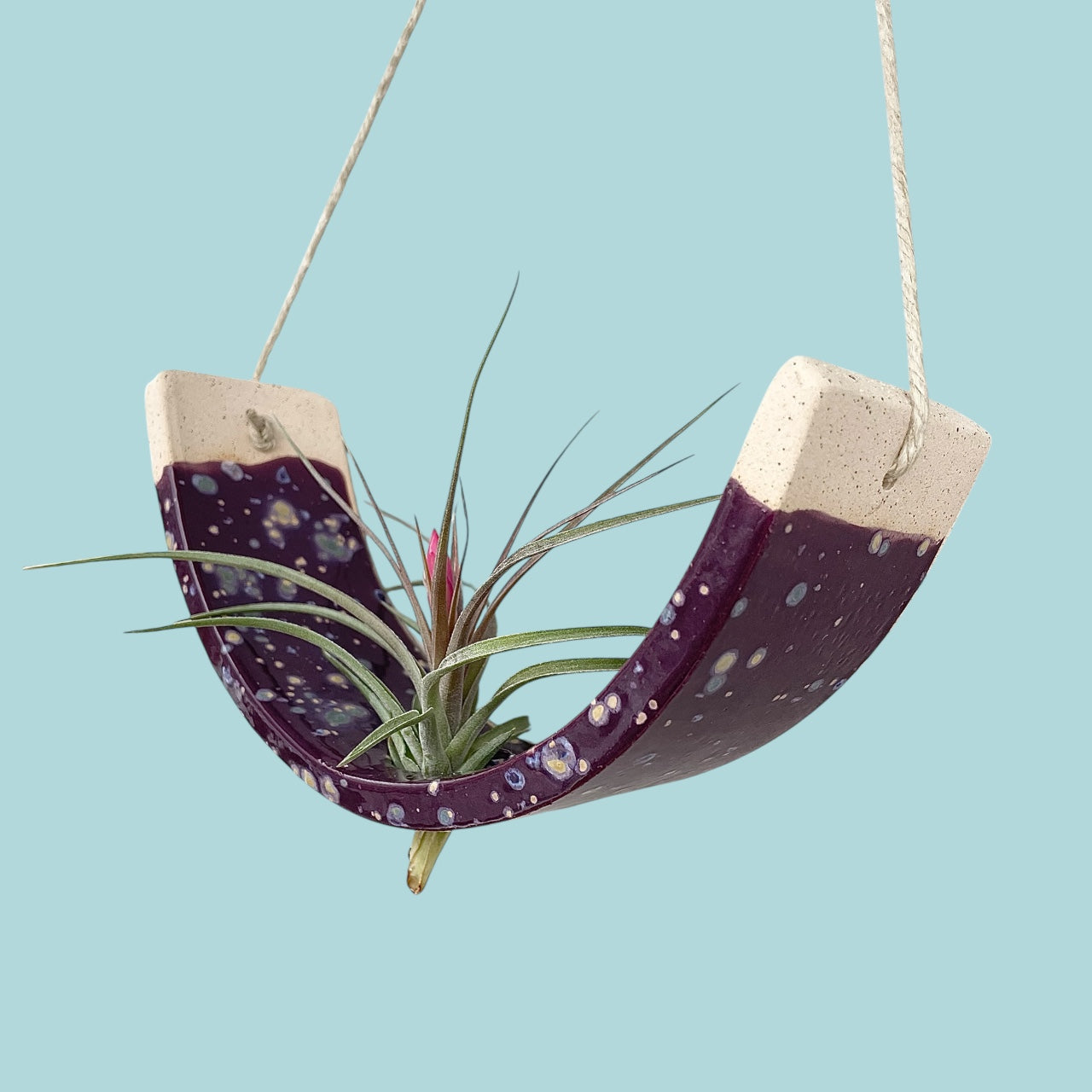 Large Purple Passion Flower Ceramic Air Plant Holder: Hanging Wall Planter, Home Decor