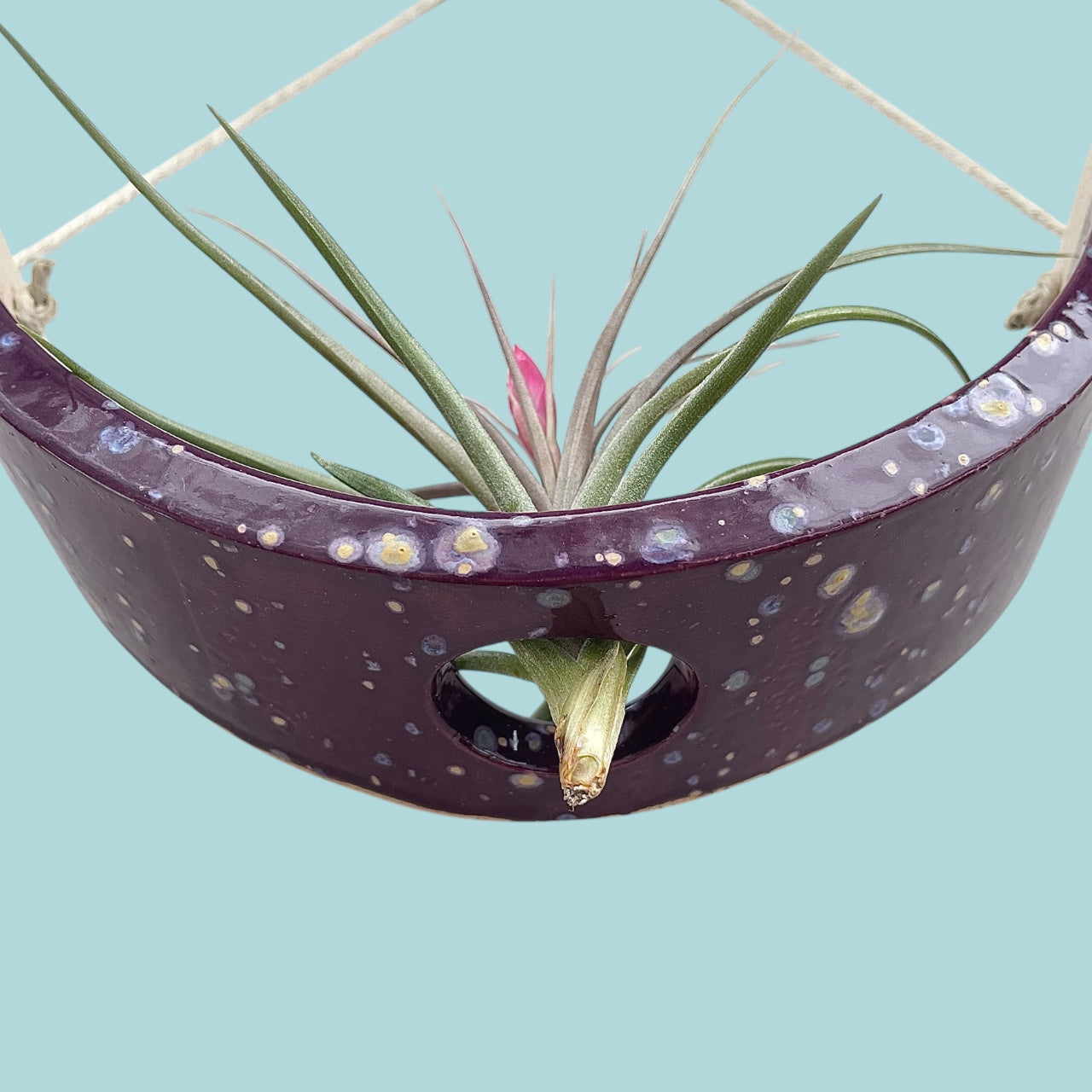 Large Purple Passion Flower Ceramic Air Plant Holder: Hanging Wall Planter, Home Decor