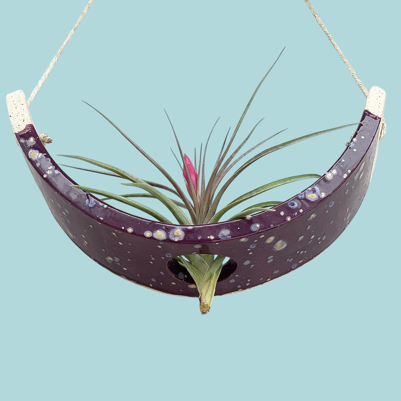 Large Purple Passion Flower Ceramic Air Plant Holder: Hanging Wall Planter, Home Decor