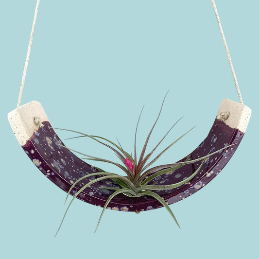Large Purple Passion Flower Ceramic Air Plant Holder: Hanging Wall Planter, Home Decor