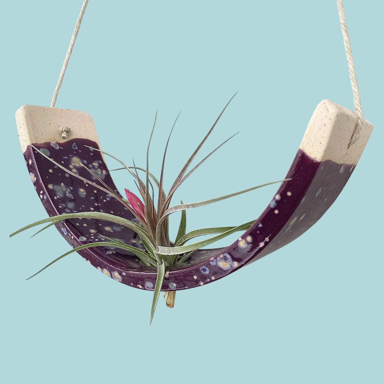 Large Purple Passion Flower Ceramic Air Plant Holder: Hanging Wall Planter, Home Decor