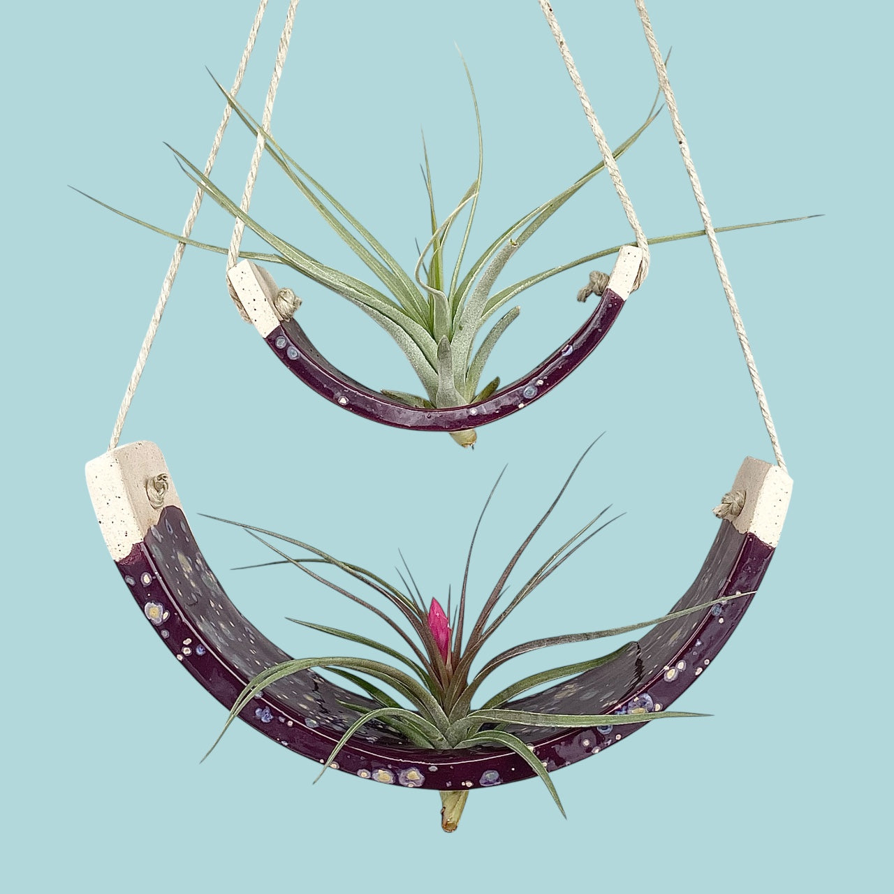 Tiered Ceramic Air Plant Holder: Purple Passion Flower Hanging Planter