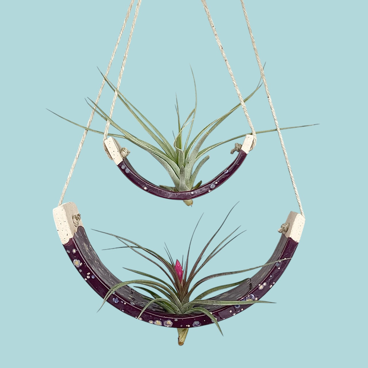 Tiered Ceramic Air Plant Holder: Purple Passion Flower Hanging Planter