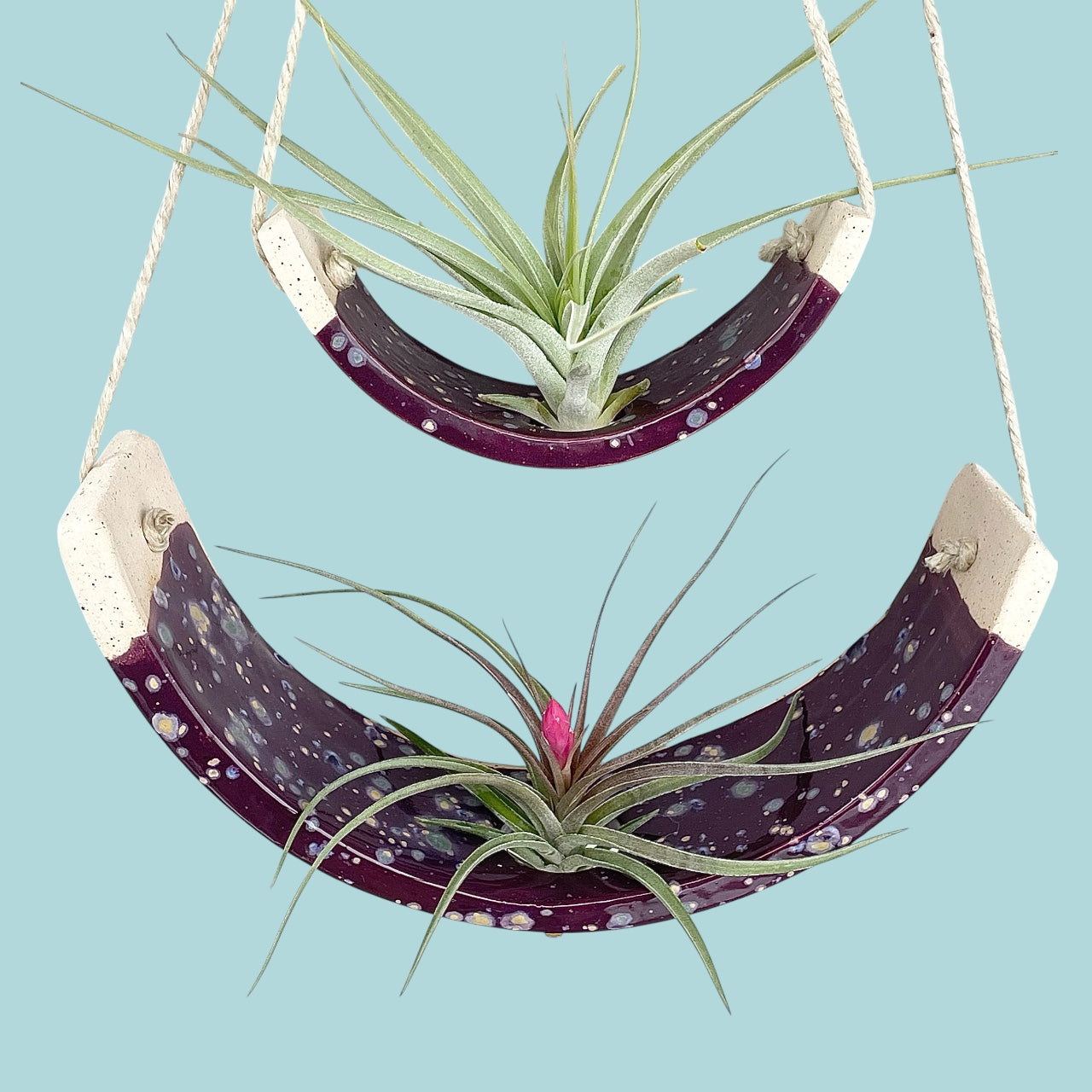 Tiered Ceramic Air Plant Holder: Purple Passion Flower Hanging Planter