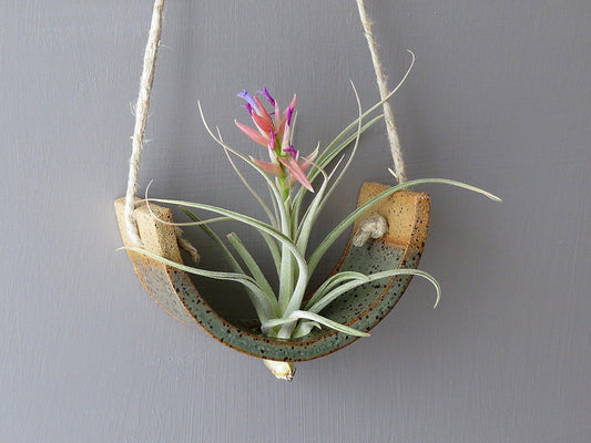 Small Handmade Ceramic Air Plant Cradle: Gunmetal Green Hanging Planter