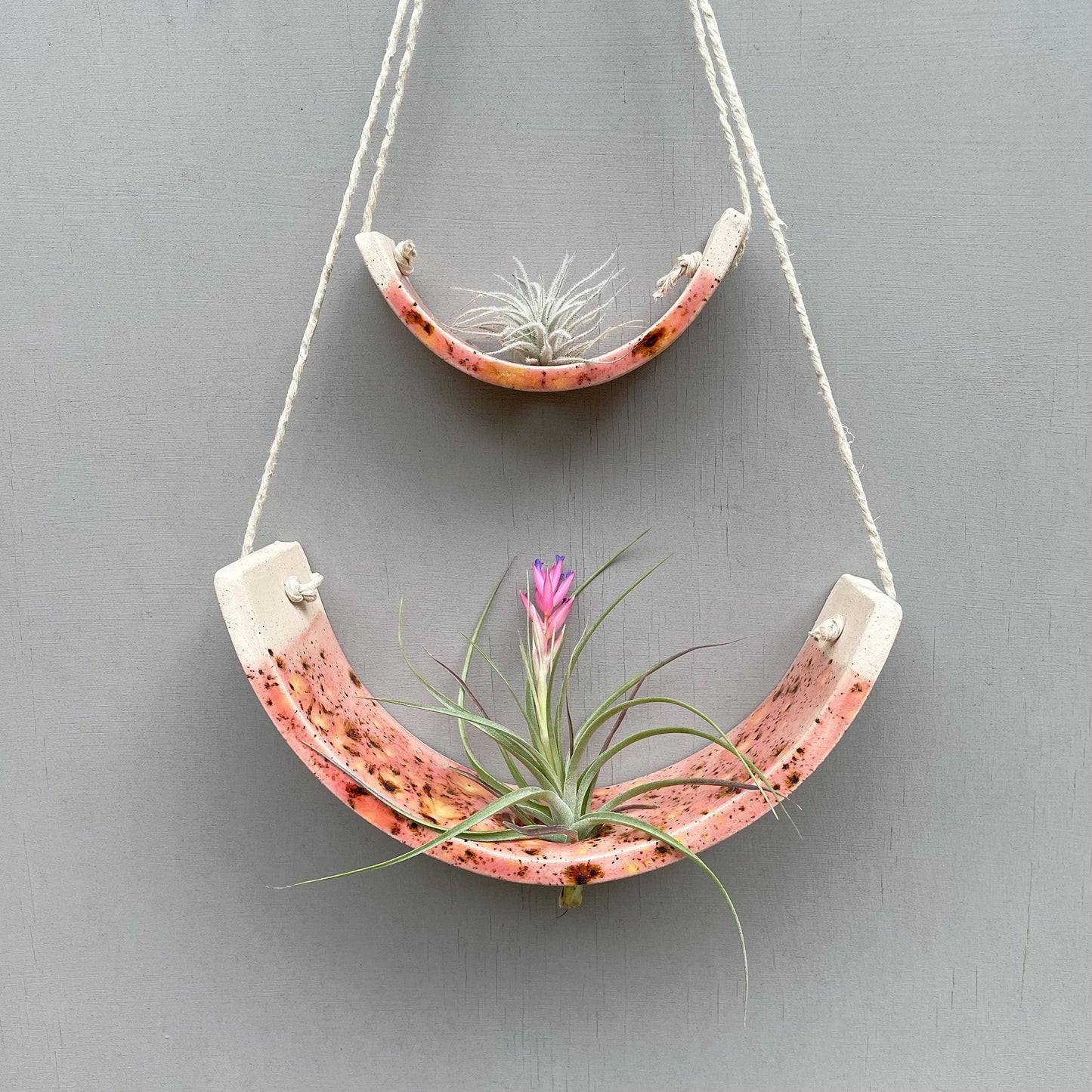Small Pink Amaryllis Ceramic Air Plant Cradle: Hanging Planter Vase