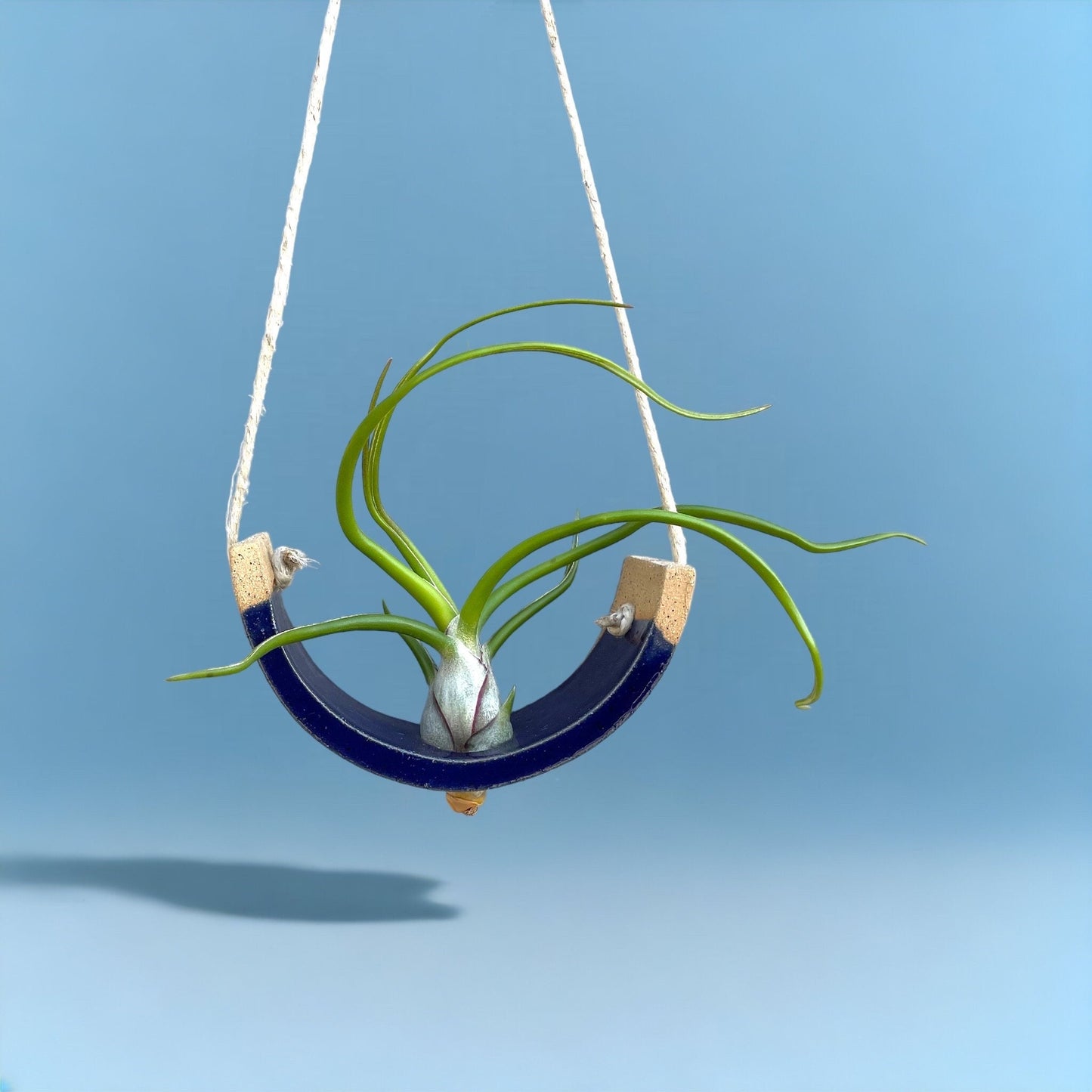 Small Handmade Royal Navy Blue Ceramic Air Plant Cradle - Limited Edition