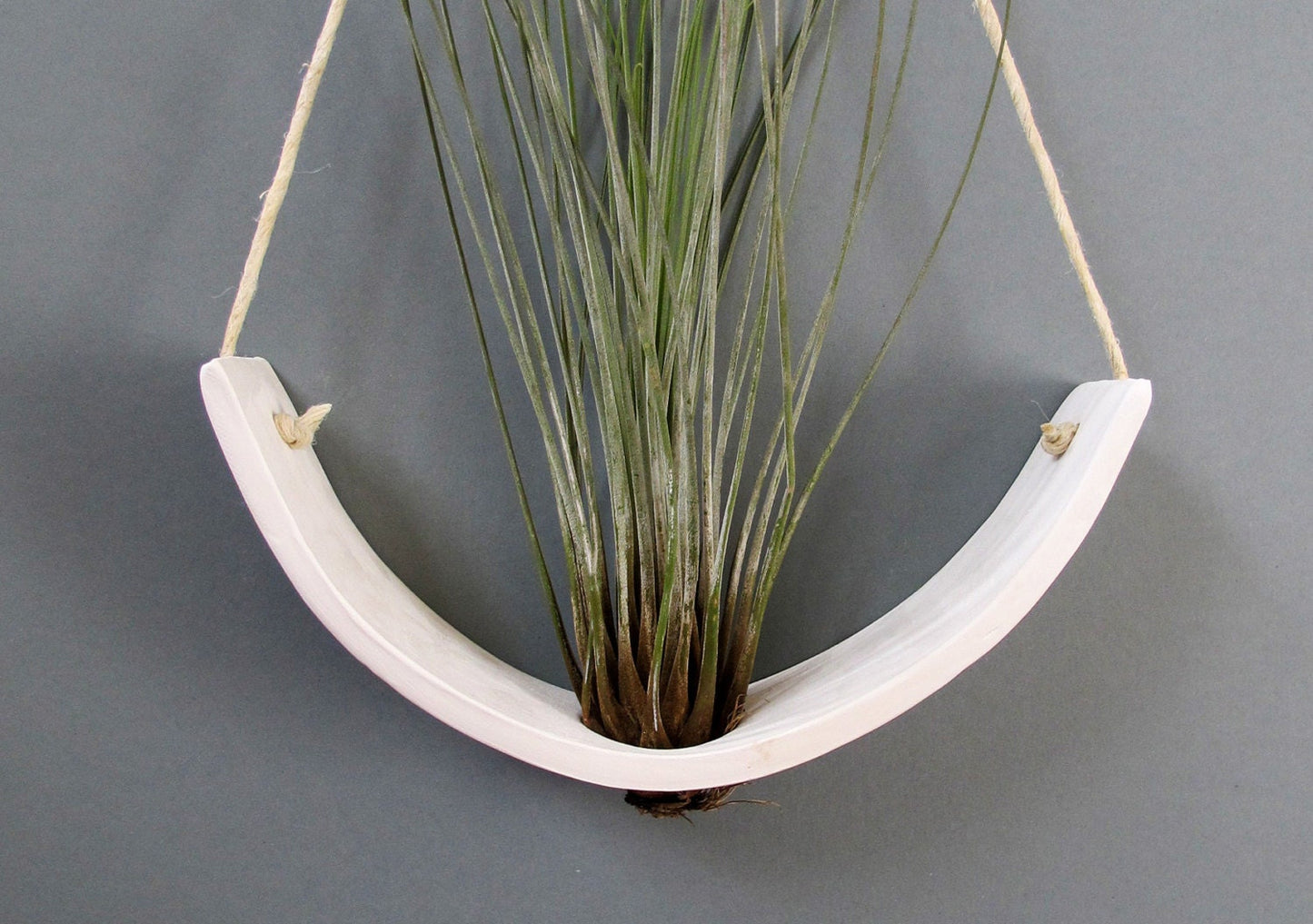 Large White Earthenware Hanging Tillandsia Air Plant Holder Interior Home Decoration Planter