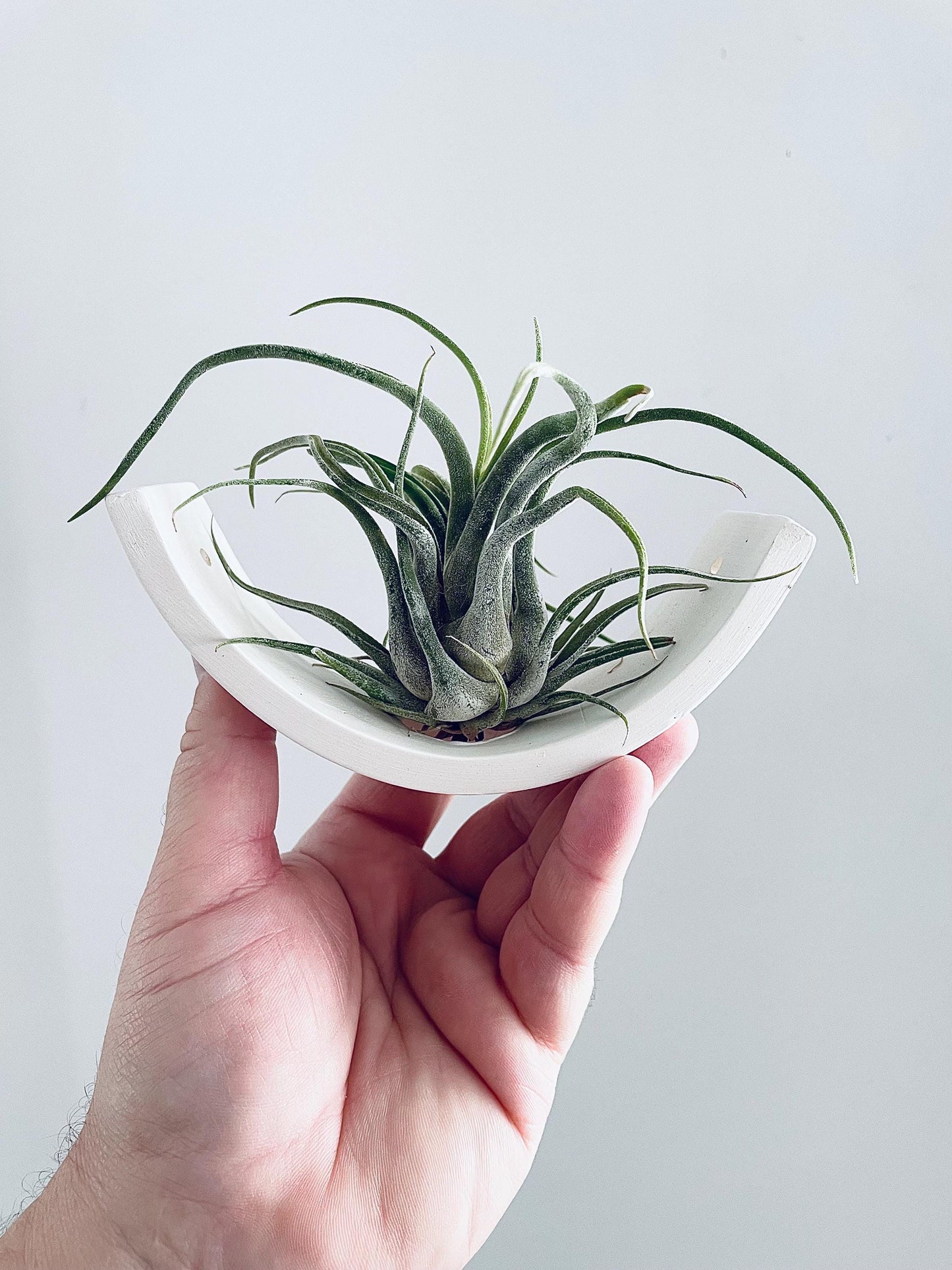 White Air Plant Container Ceramic Plant Hanger - Small