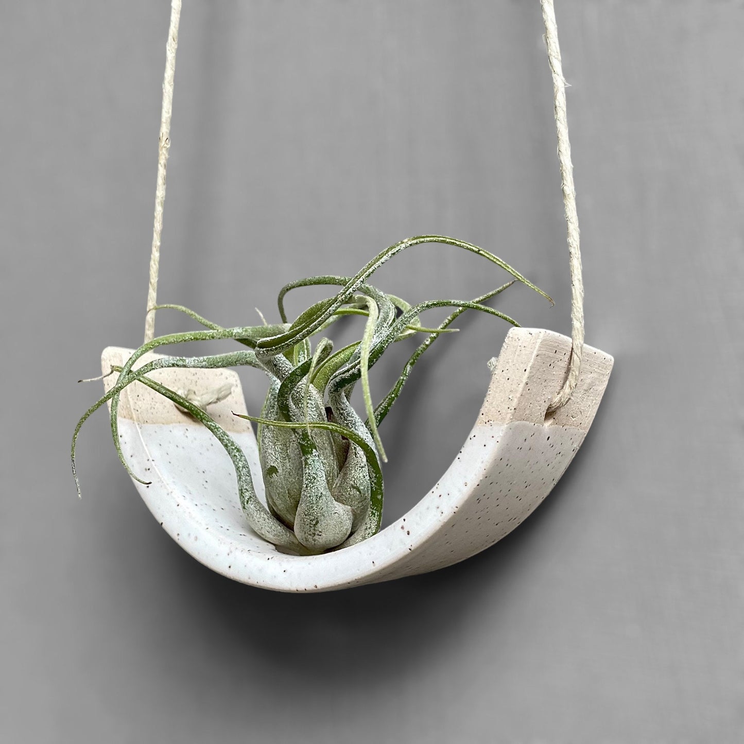 Small Hanging Air Plant Holder — Speckle Buff Stoneware Clay — Gloss White Planter