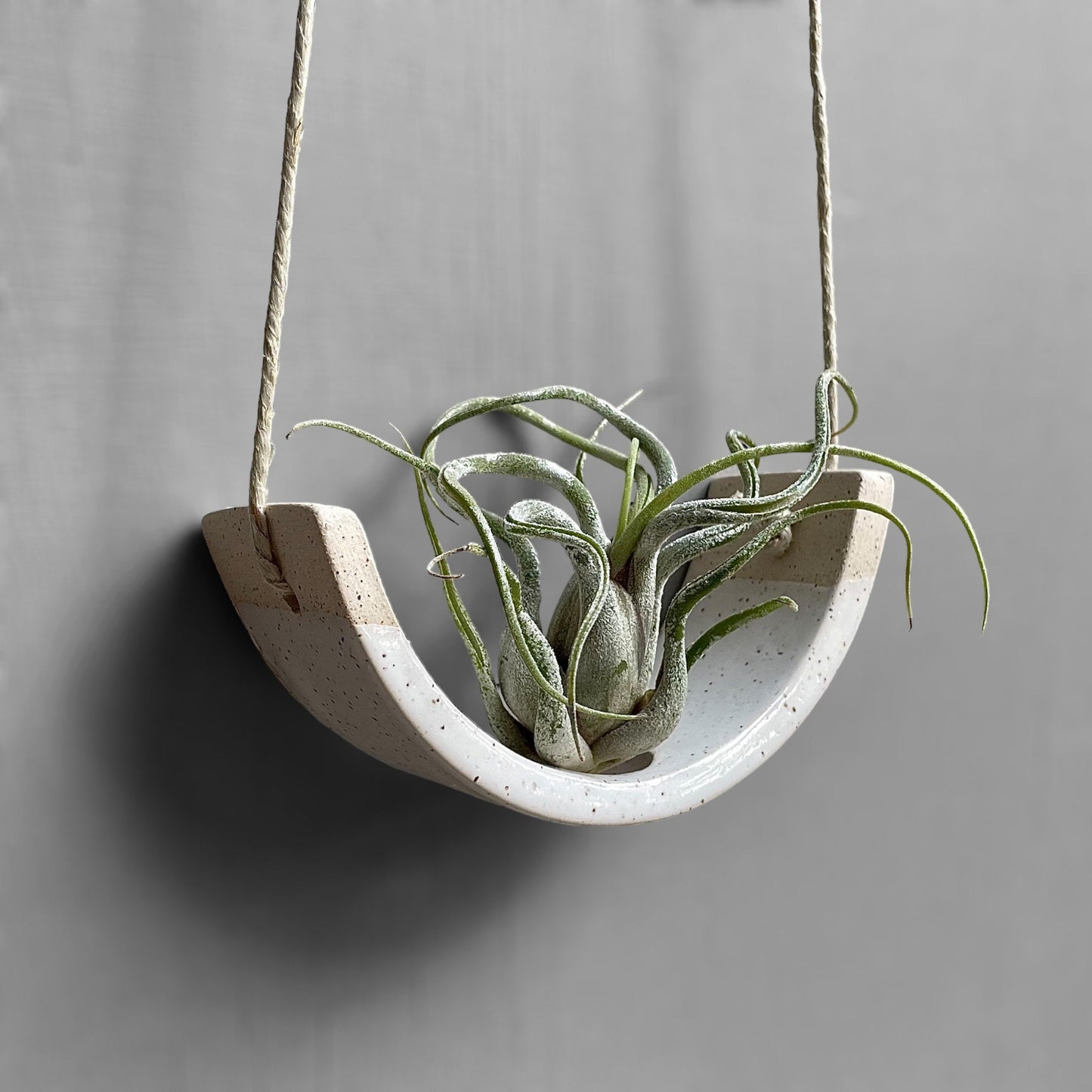 Small Hanging Air Plant Holder — Speckle Buff Stoneware Clay — Gloss White Planter