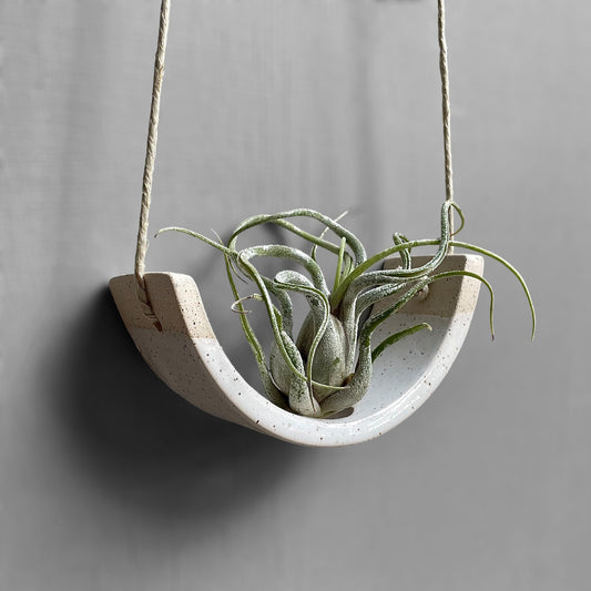 Small Hanging Air Plant Holder — Speckle Buff Stoneware Clay — Gloss White Planter